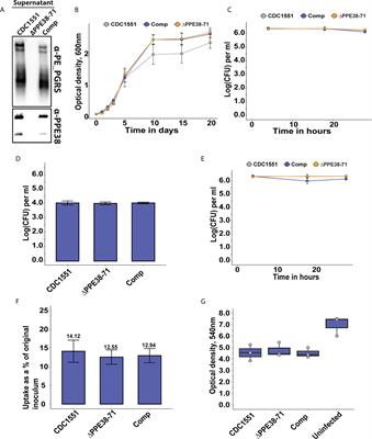 PPE38-Secretion-Dependent Proteins of M. tuberculosis Alter NF-kB Signalling and Inflammatory Responses in Macrophages